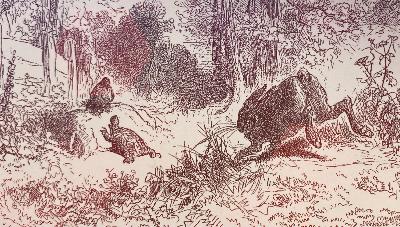 23-《Le Lièvre et la tortue 龟兔赛跑》乌龟小姐能赢还真不是个意外