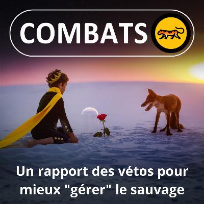 S05E41 Première : Un rapport de l'Académie des vétos sur la "gestion" de la faune sauvage S05E41 Première : Un rapport de l'Académie des vétos sur la "gestion" de la faune sauvage