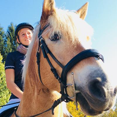 Reiten lernen ohne Druck im eigenen Tempo