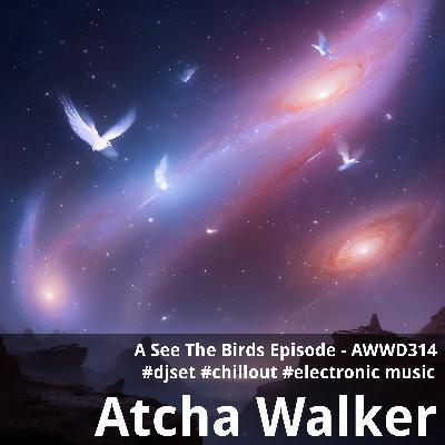A See The Birds Episode - AWWD314 - djset - chillout - electronic music A See The Birds Episode - AWWD314 - djset - chillout - electronic music