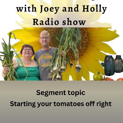 Episode 1547: Seg 1 S10E10 Starting your tomatoes off right - The Gardening with Joey and Holly Radio Show Episode 1547: Seg 1 S10E10 Starting your tomatoes off right - The Gardening with Joey and Holly Radio Show