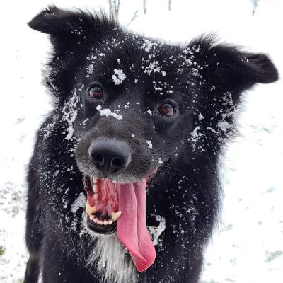 Ep.6 ชีวิตที่สวยงามในต่างแดนกับวันอาทิตย์