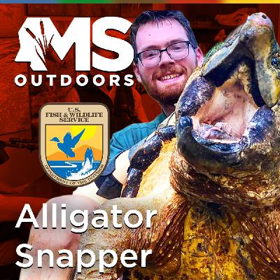 Inside the World of Mississippi’s Largest Turtles with Biologist Luke Pearson