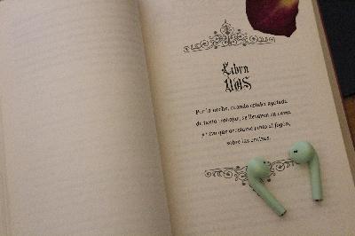 Crónicas Lunares, Cinder Libro Dos