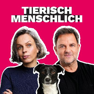 006: In der Kürze liegt die Würze