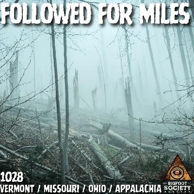 Followed for Miles, Rocks from the Dark, and a Thing at the Tent Door