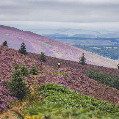 Responsible Mountain Bike Access - Understanding the pressures on the outdoors with the increase in riders from Covid-19