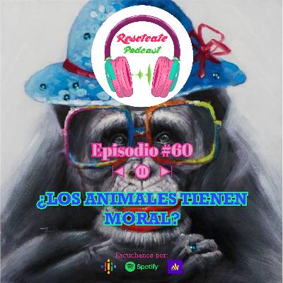 60. ¿LOS ANIMALES TIENEN MORAL? 60. ¿LOS ANIMALES TIENEN MORAL?