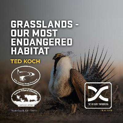 Episode 601 - Ted Koch || Grasslands - Our Most Endangered Habitat