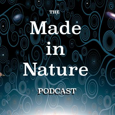 Christian Pichler (Part II): Pulsed electromagnetic frequency technology for health and healing
