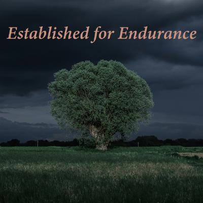 Established for Endurance Established for Endurance