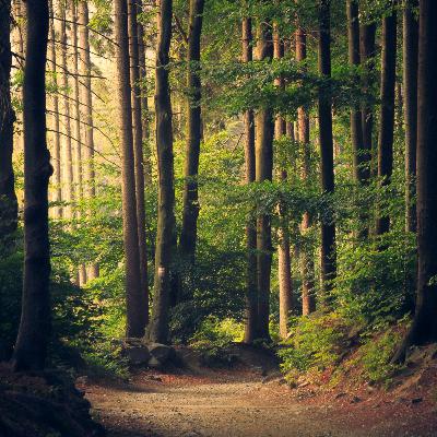 20250923 - The breath in space of awareness