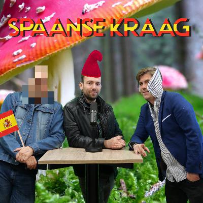 November 2022: Spaanse kraag November 2022: Spaanse kraag