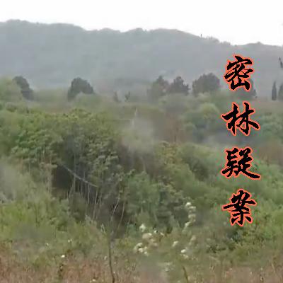 E83 密林深处：京山市双尸疑案