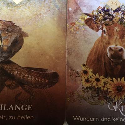 045 Schlange Kuh - Frage: Ernährung & Nachhaltigkeit