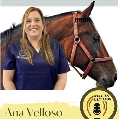 Cuando es el mejor momento para castrar, Ana? Cuando es el mejor momento para castrar, Ana?
