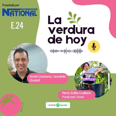 E. 24 Tu patio y jardín, ¿necesitan un make-over? Conoce los productos de Terramix