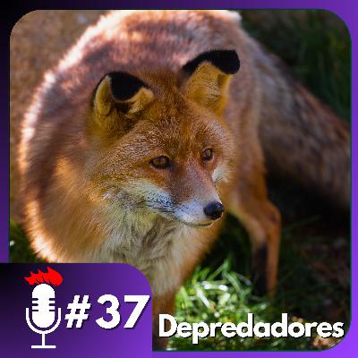🎙️ El PELIGRO de los DEPREDADORES para nuestros animales | Podcast #37 con criadores de aves