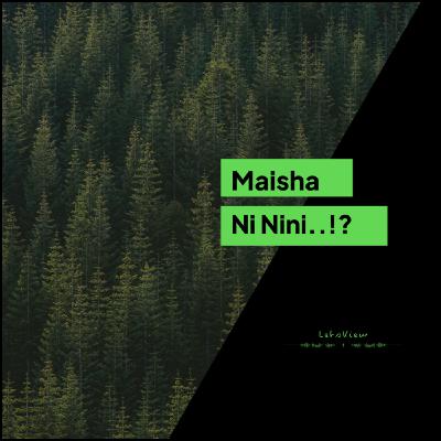 Maisha Ni Nini..!?