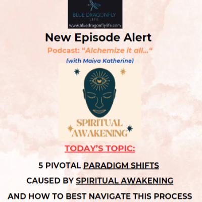 Episode #40 - 5 Pivotal Paradigm Shifts caused by Spiritual Awakening and How to best navigate this process.