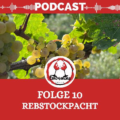 Folge 10 - Rebstockpacht
