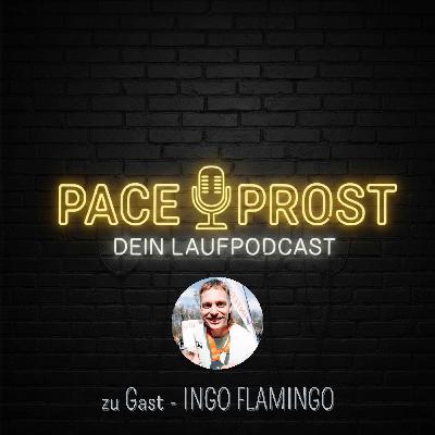 72 Kilometer durchs Dorf – mit Ingo Flamingo