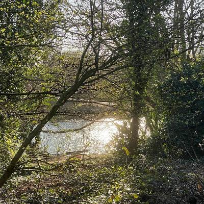 BadGuys - 59 BadGuys - 59