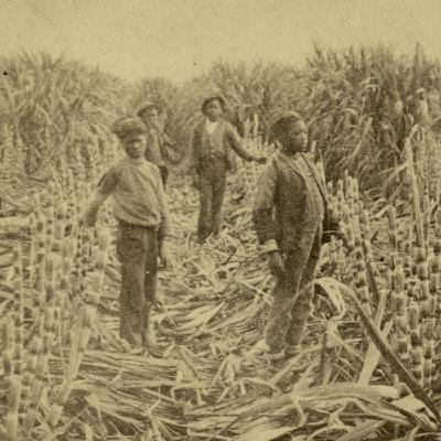 The Land of Our Fathers, Part 1
