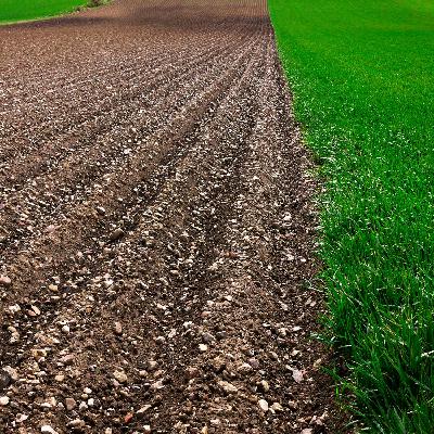 Riff: Three-year extension of nitrates derogation granted