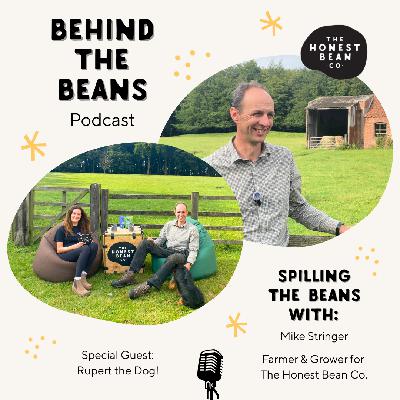 Soil Saviours: The Humble Fava Bean That's Feeding Us & Fixing Our Soils