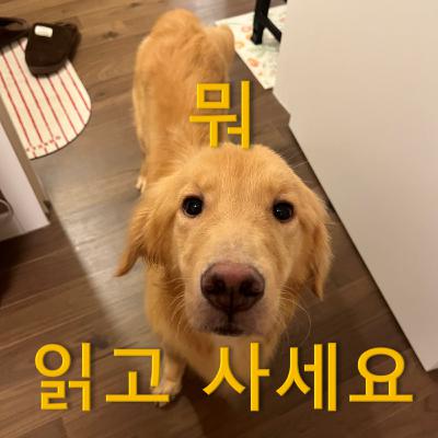 뭐 읽고 사세요? 뭐읽사 3회 : 임신테스트기, 폐기된 인생, 구불구불 빙빙 팡 터지며 전진하는 서사