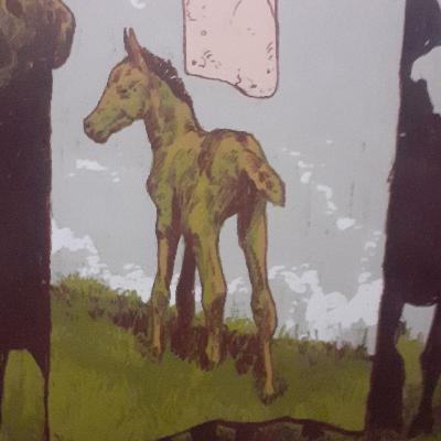 Memorias de un caballo de la independencia - Gesta libertadora de Colombia - Audio Libro