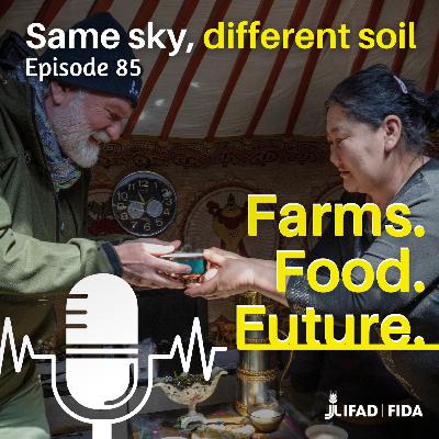 Same sky, different soil