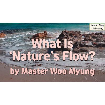 🌊 What Is 'Nature's Flow'? : universal order, nature’s law, harmony, water, peace, non-conflict, completeness | Master Woo Myung | Santa Clara Meditation