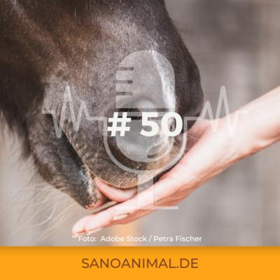 Sanoanimal Podcast #50 - Belohnung mit Köpfchen: so lernt dein Pferd nachhaltig