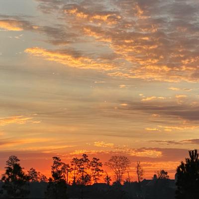 1. Podcasting & Why I want to do this 1. Podcasting & Why I want to do this