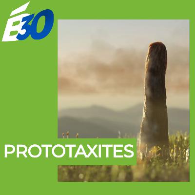 Prototaxites