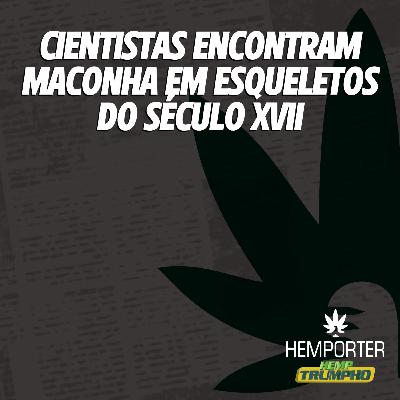 Cientistas encontram maconha em esqueletos do século XVII Cientistas encontram maconha em esqueletos do século XVII