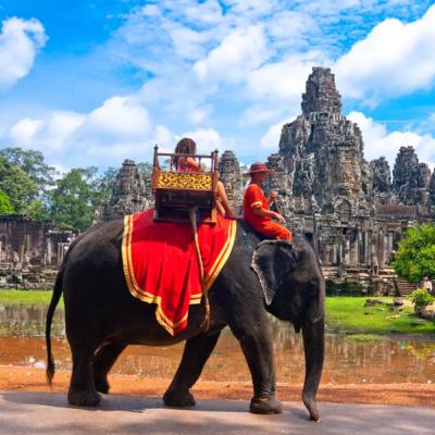 What are the endangered species in Cambodia??