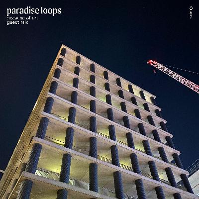 Paradise Loops 062 w/ Because Of Art