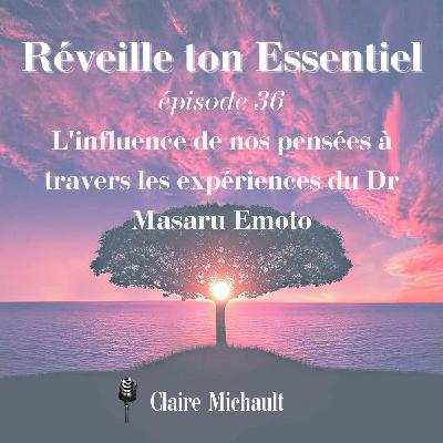 L'influence de nos pensées à travers les expériences du Dr Masaru Emoto  #36