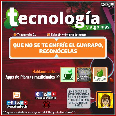 <T01E21> Tecnología y algo más (veintiuno de monte) [En Guachicones]