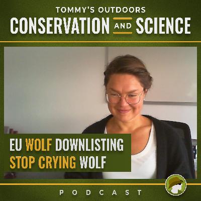 216: EU Wolves and the Conservation Success Conundrum with Hanna Pettersson