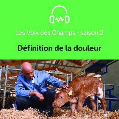 Les Voix des champs - S02-E01 : Définition de la douleur (8mn15)