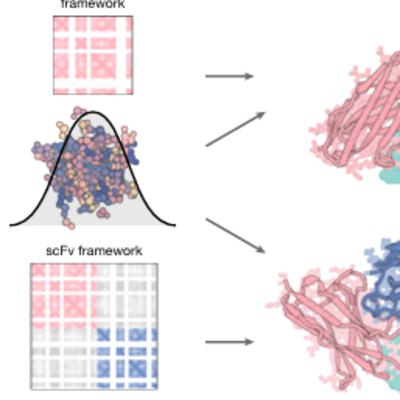 Atomically accurate de novo design of antibodies with RFdiffusion