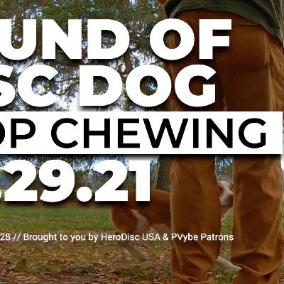 The Sound of DiscDog | Halting the Chewing and Mauling of DiscDog with King The Sound of DiscDog | Halting the Chewing and Mauling of DiscDog with King