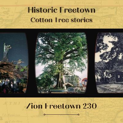 Historic Freetown - Cotton Tree stories