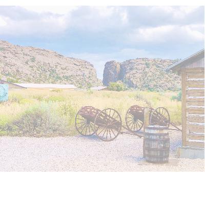 Devil's Gate: Brigham Young and the Great Mormon Handcart Tragedy by David Roberts