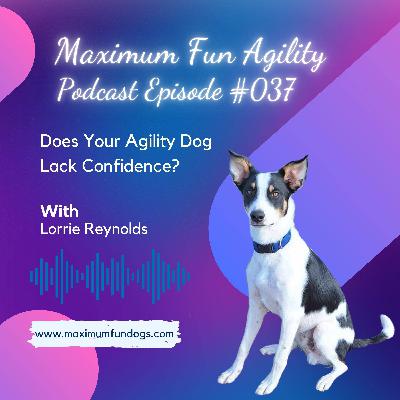 Episode 037 - Does Your Agility Dog Lack Confidence?