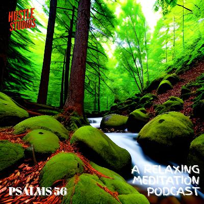 Psalms 56 - "Finding Strength in Times of Fear"